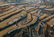 In hoeverre denken jullie aan uniseksnamen wanneer jullie op zoek zijn naar ideale namen?